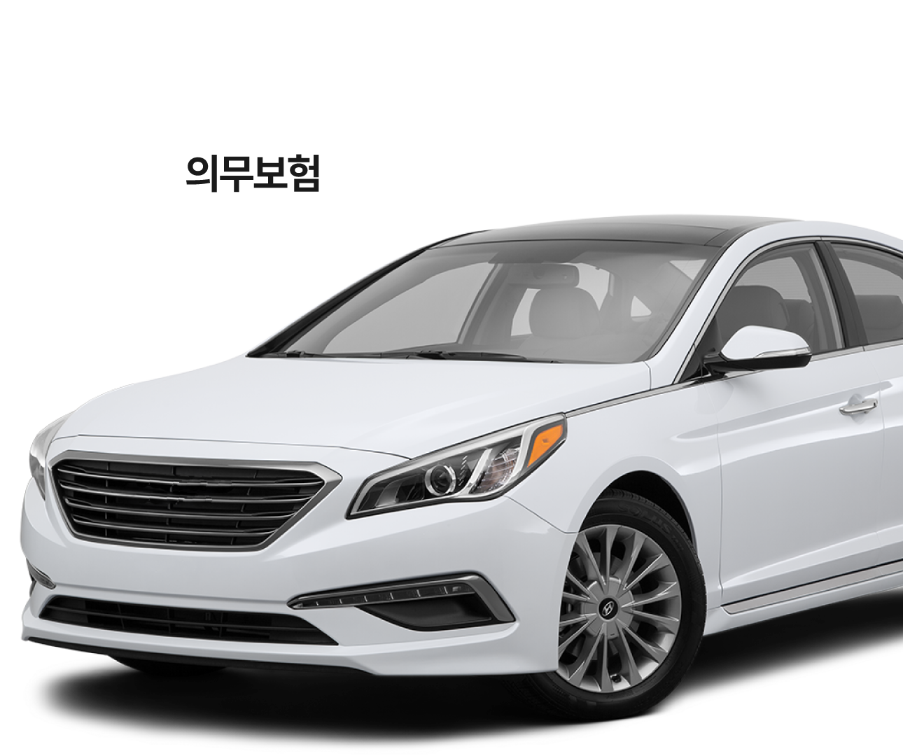 배너